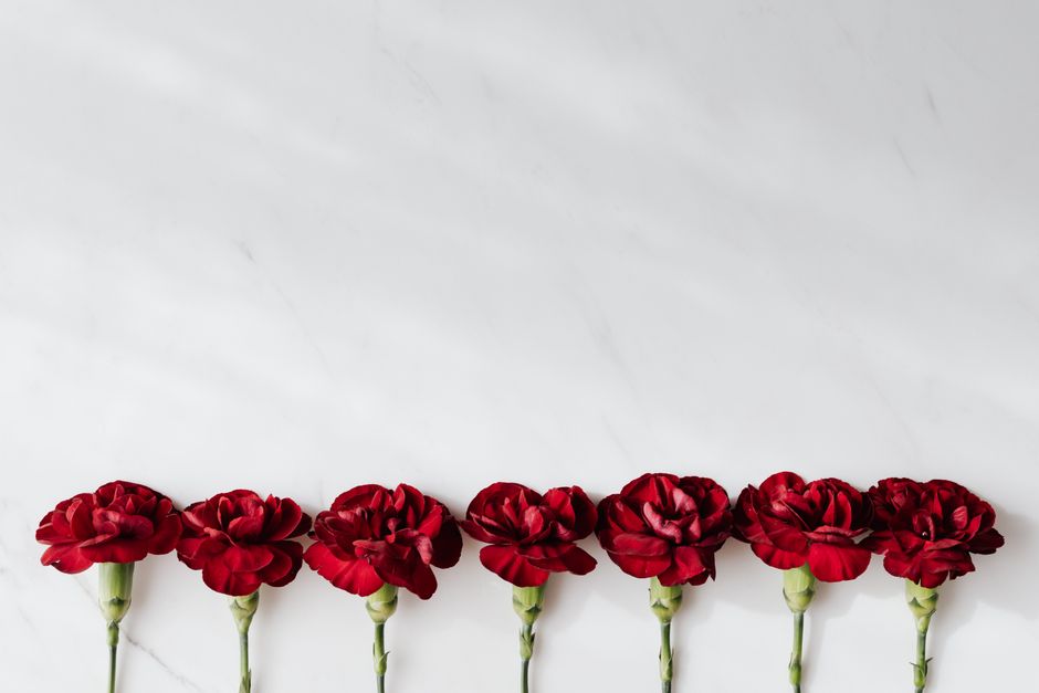 A row of seven fresh red carnation flowers with ruffled petals, each attached to a slender green stem, laid out in a straight line on a white marble surface. The carnations are evenly spaced, showcasi