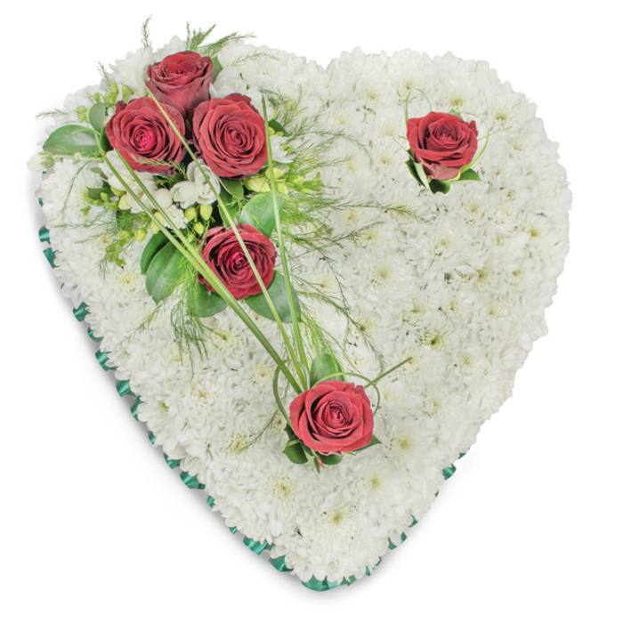 A traditional heart-shaped sympathy arrangement presented on a stark white background, its entire silhouette formed from a tightly packed mass of immaculate white chrysanthemums. The chrysanthemums provide a soft, quilted texture that reads as peaceful and pure, a backdrop meant to cradle memory. On the upper left a cluster of three rich, deep red roses gathers with intimate foliage - glossy green ruscus, delicate fern-like fronds and sprightly bear grass blades that extend as graceful green filaments. Two more red roses are placed apart: one near the top right curve and another at the pointed base of the heart, each surrounded by minimal greenery so the eye moves from the grouped trio to the solitary blooms in a gentle rhythm. A thin band of emerald-green satin ribbon trims the heart's edge, offering a refined, sombre frame and a modest accent of colour. The arrangement is lit from above, creating soft shadows that reveal the depth of the chrysanthemums and the layered petals of the roses, while the subtle fragrance of fresh roses lends a quiet, consoling presence. This piece is suited for funeral services, memorial displays or graveside tributes, fashioned with the considered restraint of a seasoned florist. Locally it feels at home at Hook's community funeral venues and places of remembrance, a composed and dignified symbol of love, respect and farewell offered in times of loss.