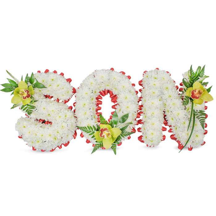 A poignant funeral tribute arranged as three-dimensional block letters reads 'SON' in dense masses of small white chrysanthemums; their uniform petals form a soft, sculpted surface that looks almost cloud-like against the plain white background. The edges of every letter are delicately outlined with a vibrant red ribbon, folded into a continuous scalloped border that introduces a luminous red pulse around the pure white forms and into the negative space of the 'O'. At three focal points, lime-green Cymbidium orchids punctuate the arrangement: an orchid nestles into the upper left curve of the 'S', another sits low in the opening of the 'O', and a third accents the upper right stroke of the 'N'. These orchids show subdued yellow-green petals and a pale orange to reddish-brown throat, their waxy texture contrasting beautifully with the chrysanthemums' matte softness. Lush green leaves and fine fern fronds fan around each orchid cluster, lending height and a natural silhouette that suggests calm dignity and quiet renewal. The overall effect is one of careful craftsmanship - dense floristry work, neat ribbon folding, and considered placement - intended for use at a memorial service, graveside, or chapel display. Soft, even lighting reveals the subtle shadows between blooms and the gentle sheen of the ribbon, evoking a gentle, reflective mood. As a local Hook arrangement, it carries the sort of understated presence suitable for services along Station Road, near Hook Common or the church, where families seek a personal and respectful floral expression.