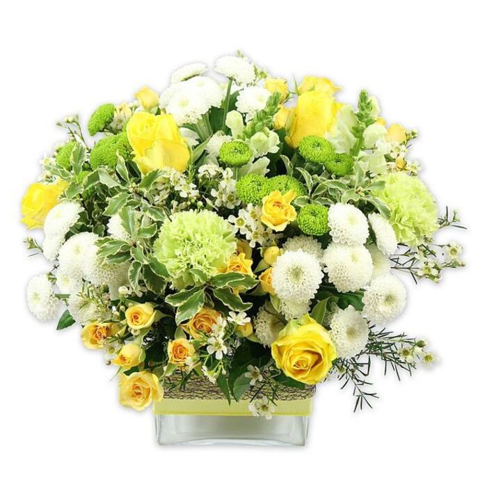 The photograph shows a generously sized, dome-shaped floral arrangement brimming with sunny yellow, crisp white, and lively green blooms, displayed in a clear, square glass vase on a clean white backdrop. The main focal points are the yellow roses, some fully unfurled into layered rosettes, others still partly closed, lending the bouquet depth and a sense of unfolding life. Nestled amongst them are clusters of yellow spray roses that add smaller flashes of sunshine, contrasting beautifully with dense, rounded white pompom chrysanthemums whose many fine petals create a soft, cushiony texture. Bright lime green button chrysanthemums pop up like tiny globes, punctuating the arrangement with sparkling touches of colour, while larger, frilly pale green flowers recall ruffled carnations or specialty green chrysanthemum varieties often chosen by florists for their long-lasting freshness. Delicate, starry white filler flowers such as waxflower or miniature asters are scattered throughout, introducing light, airy detail that makes the design feel both intricate and relaxed, much like a carefully curated yet natural bouquet you might pick up for a weekend gathering in Hook. Lush greenery forms a rich backdrop: deep green, finely textured foliage mingles with striking variegated leaves edged in white, echoing the contrast between shade and light on the trees lining Hook's quieter lanes. The square vase is wrapped at its midsection with a rustic band of textured material resembling woven bark or raffia, over which a bright lime green ribbon lies smoothly, bringing an artisan touch and mirroring the green accents above. The overall impression is of a cheerful, polished centerpiece that speaks of warmth, renewal, and celebration, ideal for brightening a hall table, marking a special family occasion, or sending a message of congratulations to someone in Hook.