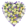 A carefully arranged heart-shaped floral tribute photographed against a clean white backdrop, its dense surface composed of pale, comforting pastels and a generous sweep of silvery greenery. The composition centres on tightly furled cream and pale yellow roses - from neat buds to softly opening blooms - whose velvety petals build a luxuriant, warming texture. Interwoven among the roses are clusters of ruffled white carnations that create a cloud-like fullness, while sprinklings of tiny lavender statice lend an airy, papery contrast and a soft purple haze. Bright, daisy-like purple asters with sunny yellow centres punctuate the palette with jewel-like notes of deeper violet, guiding the eye across the heart and giving the design visual punctuation. Rounded, blue-green eucalyptus leaves are threaded throughout, their cool, silvery tones and smooth, rounded shapes breaking the floral mass and suggesting a gentle, herbal scent when imagined close up. The entire heart is neatly edged with a continuous looped purple satin ribbon, folded and tucked to form a refined, defining border that lifts the arrangement from the white studio surface. Soft, even lighting emphasizes the subtle colour graduations - cream to pale yellow, white to lavender - and casts gentle shadows that enhance the heart's depth. Crafted with sympathy in mind, the piece conveys serenity, remembrance and quiet dignity, appropriate for a funeral service, wake or graveside tribute. As a local Hook florist might say, this heart speaks of enduring affection and peace, a tactile, fragrant symbol of condolence designed to comfort those gathered to honour a loved one in Hook and its surrounding villages.