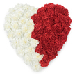An intricately textured, overhead view of a heart-shaped floral composition, artfully split straight down the middle into two bold colour fields and set against a clean white backdrop. The left side is a dense sea of off-white and creamy carnations, their ruffled petals layered so closely they create a plush, cloud-like surface that suggests softness to the eye and a light, powdery fragrance to the nose. The right side answers with an equally compact carpet of deep red carnations, each bloom's crinkled petals folding inwards to give the whole half a warm, velvety depth. The boundary where the two colour fields meet is a clearly defined, slightly irregular vertical line that reads like a stitch between two emotions - calm and passion, solace and celebration - producing a striking visual metaphor. From the overhead perspective you can see the individual carnations' textured rosettes forming a continuous surface, the light catching the petal ridges to emphasise dimension and the careful handwork of a seasoned florist. In Hook this style is often chosen for community commemorations or cultural gatherings, and the two-tone palette - white on the left and red on the right - will be instantly recognised by many as echoing the flag of Bahrain, lending the piece an extra layer of national pride and identity when used for civic events or international remembrances. The arrangement's crisp silhouette and tactile richness make it both a dignified tribute and a decorative statement, suitable for memorial services, embassy receptions, or a respectful gift delivered locally along Station Road, the High Street, or to community halls around Hook.